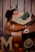 Newborn