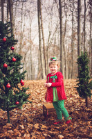Christmas Mini 2014