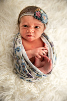 Emily Simmons Newborn