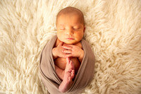Newborn