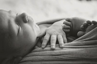 Briggs Newborn