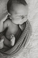 Hayden's Newborn