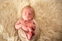 Newborn