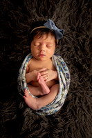 Brooke Stiefer Newborn
