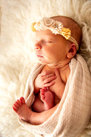 Newborn