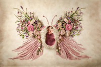 Sabel Sizemore Newborn