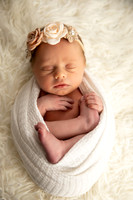 Allison Lewis Newborn