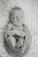 Newborn