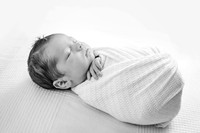 Newborn