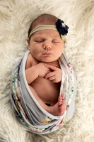 Roxy Newborn