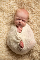Newborn