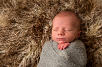 Frye Newborn
