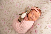 Addy Newborn