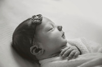 Navie Newborn