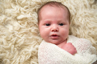 Nikki Thacker Newborn