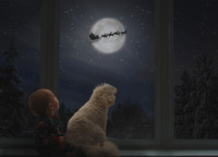 Santa Window