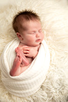 Newborn