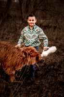 Highland Cow