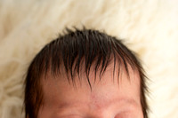 Newborn