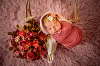 Lifestyle Newborn