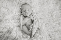 Bethany Endicott Newborn