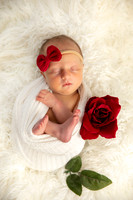 Jill Pendry Newborn