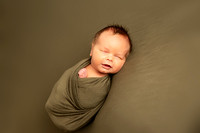 Newborn